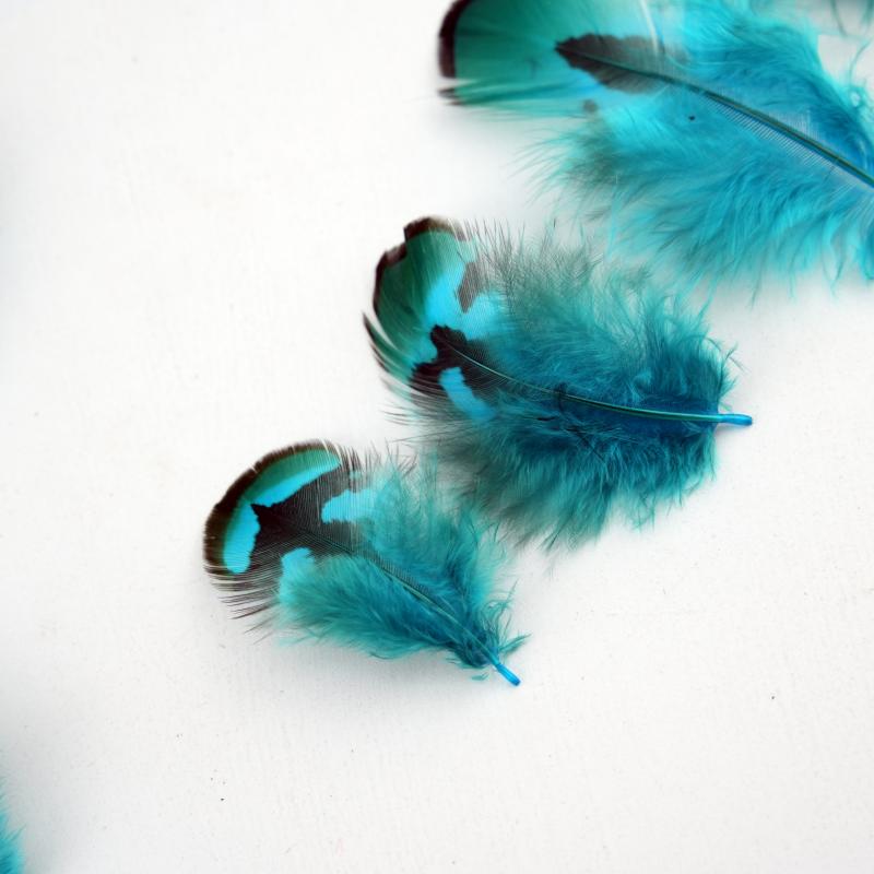 Natural DIY Pheasant Feathers  - Wedding Supply Bulk recension och pris