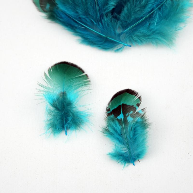 Natural DIY Pheasant Feathers  - Wedding Supply Bulk recension och pris