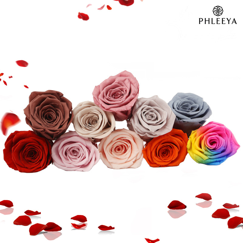 6pcs Eternal Rose Flower Heads - Wedding Supply Bulk recension och pris