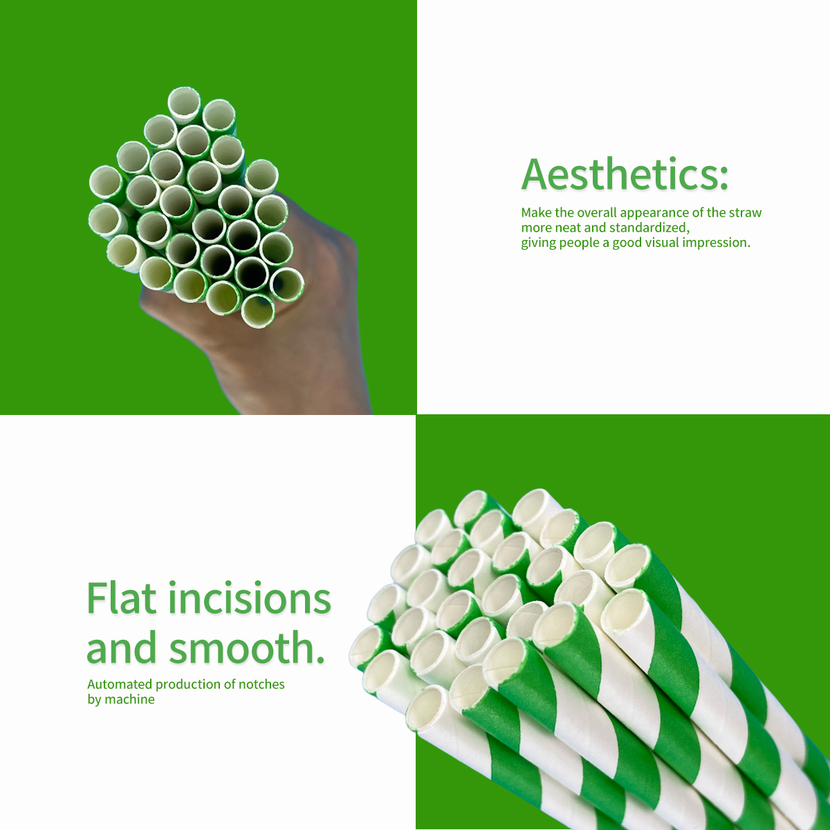 100 Pcs Biodegradable Green an - Wedding Supply Bulk recension och pris